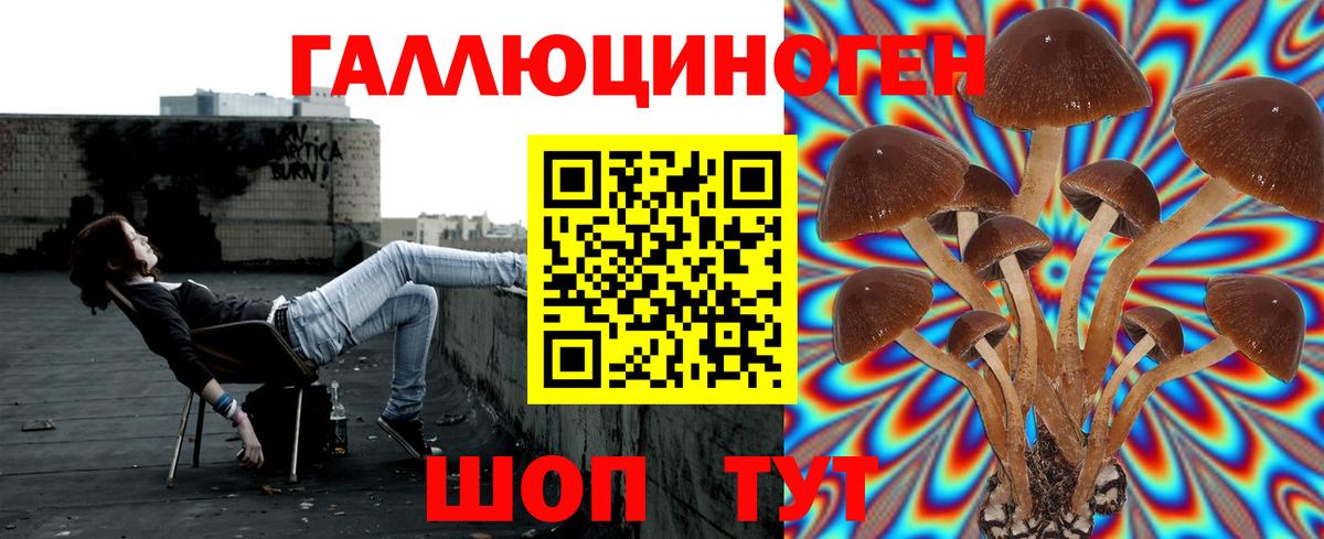 Псилоцибиновые грибы MAGIC MUSHROOMS  купить закладку  Еманжелинск  Вход с VPN 